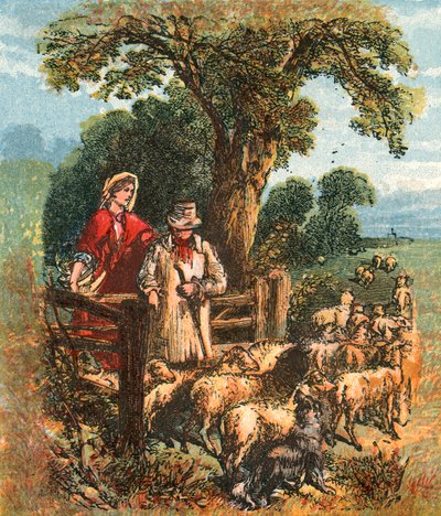 The Shepherd Counting His Sheep by English School